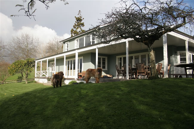 Classic Kiwi home
